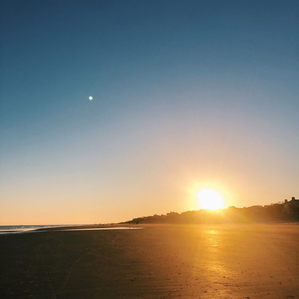 Meet your Posher, Ellie